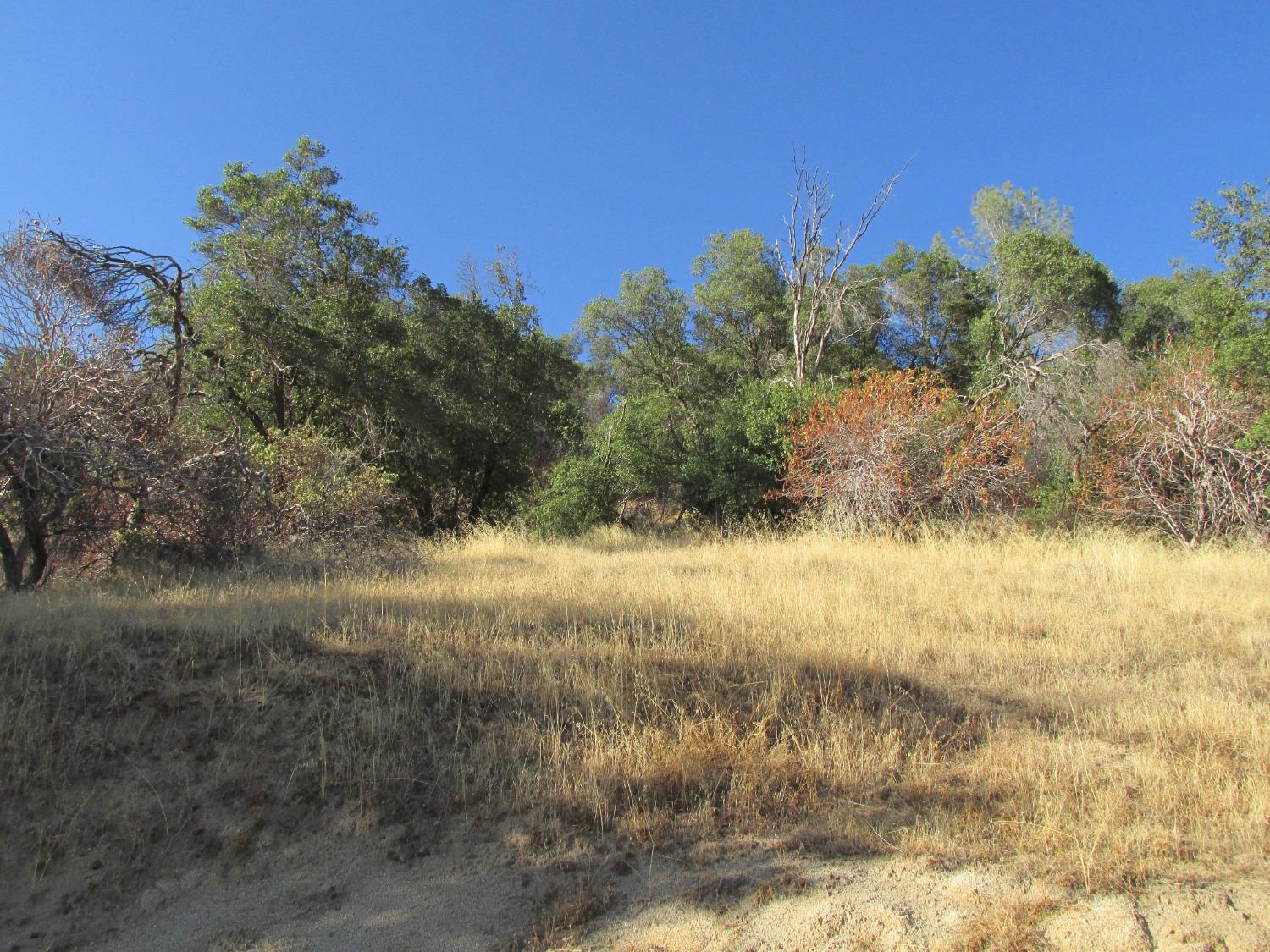 2 Ac Old Oaks Ct, North Fork, CA 93643