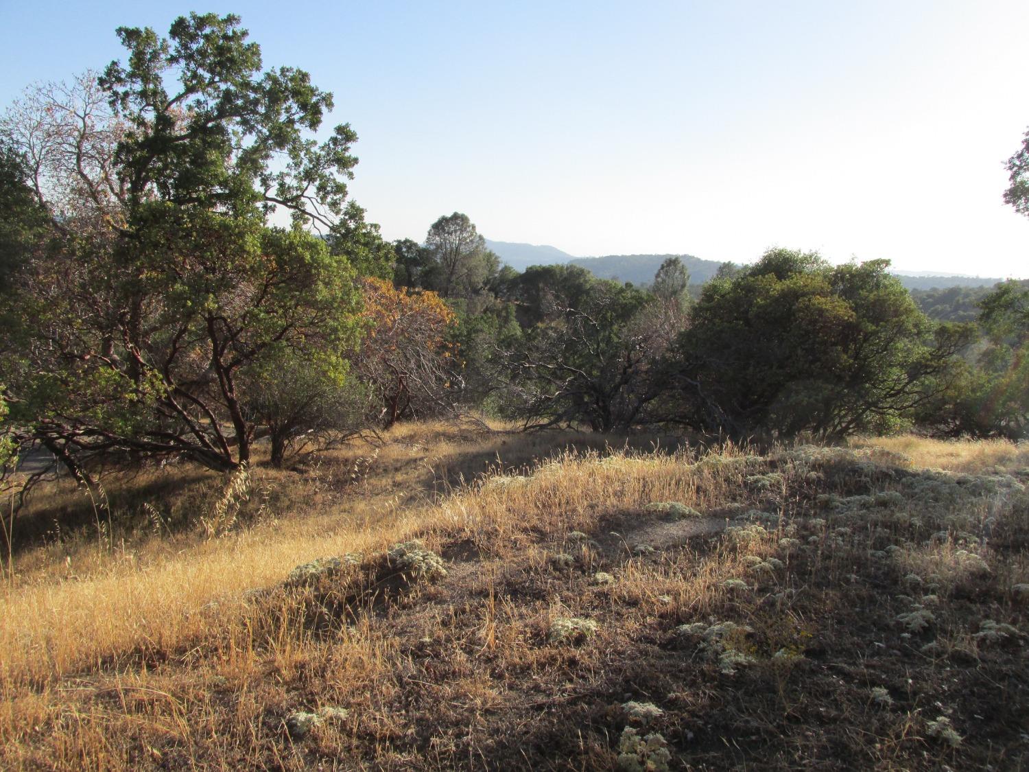 2 Ac Old Oaks Ct, North Fork, CA 93643