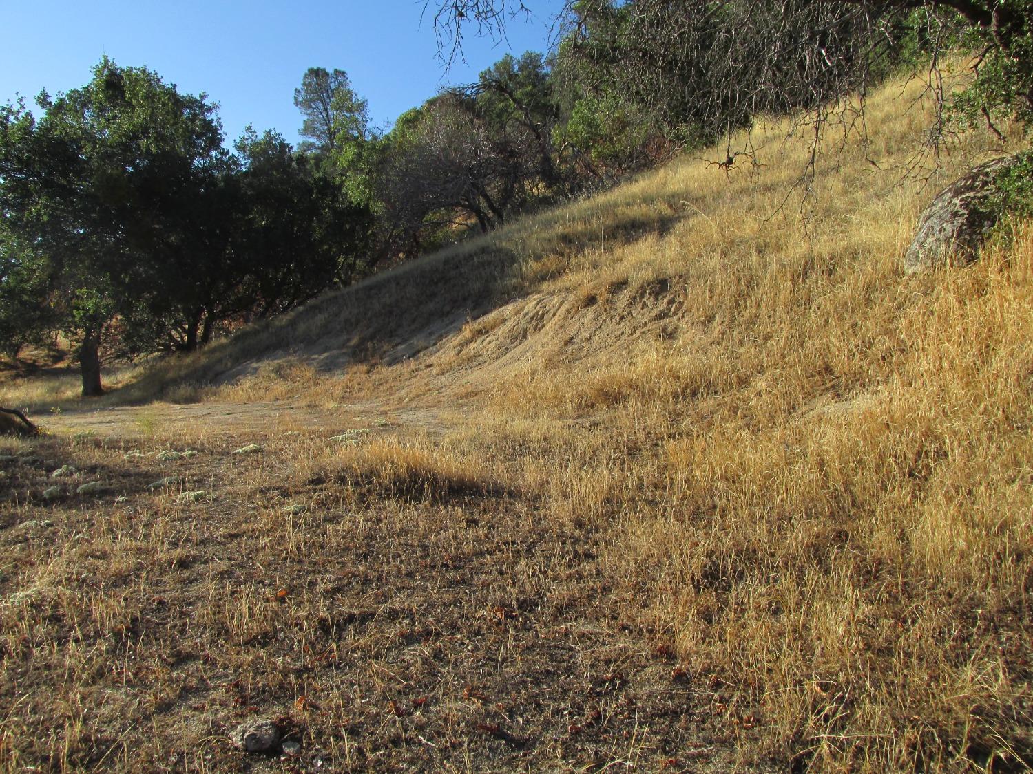 2 Ac Old Oaks Ct, North Fork, CA 93643