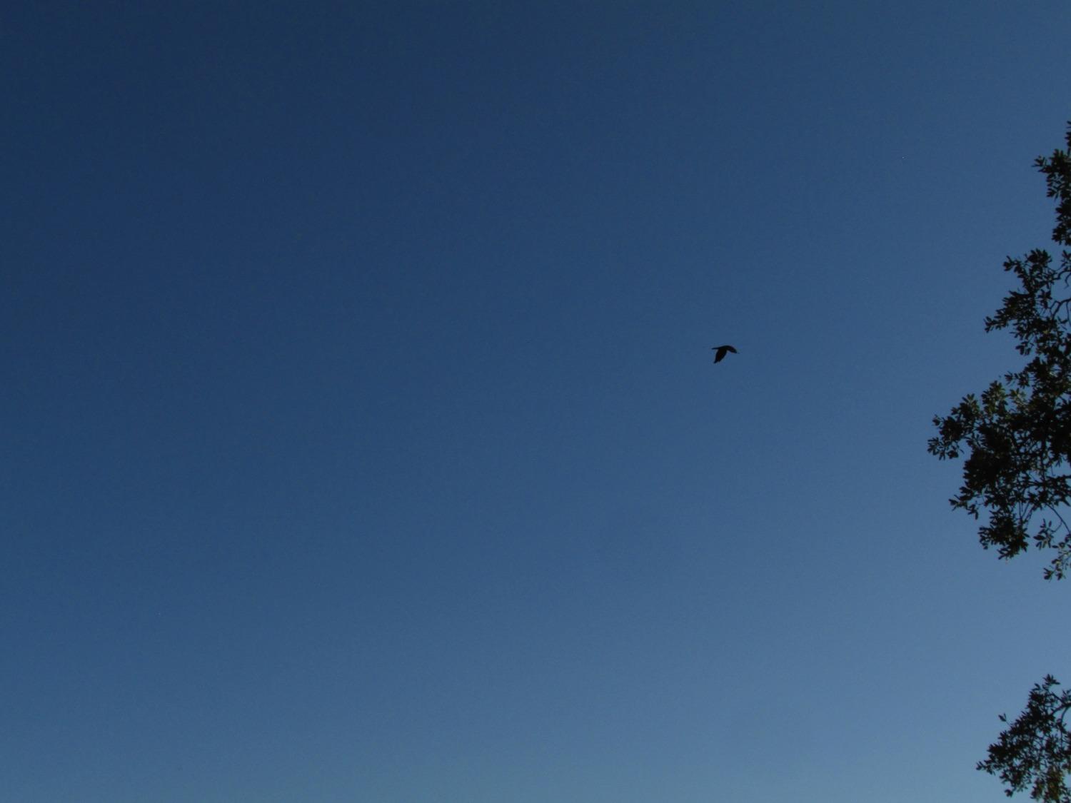 2 Ac Old Oaks Ct, North Fork, CA 93643