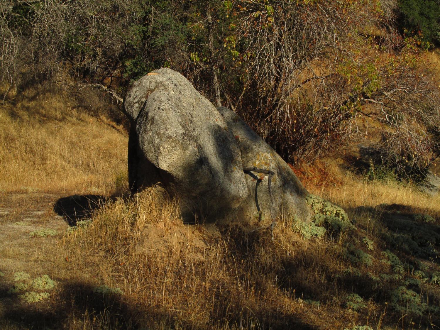 2 Ac Old Oaks Ct, North Fork, CA 93643