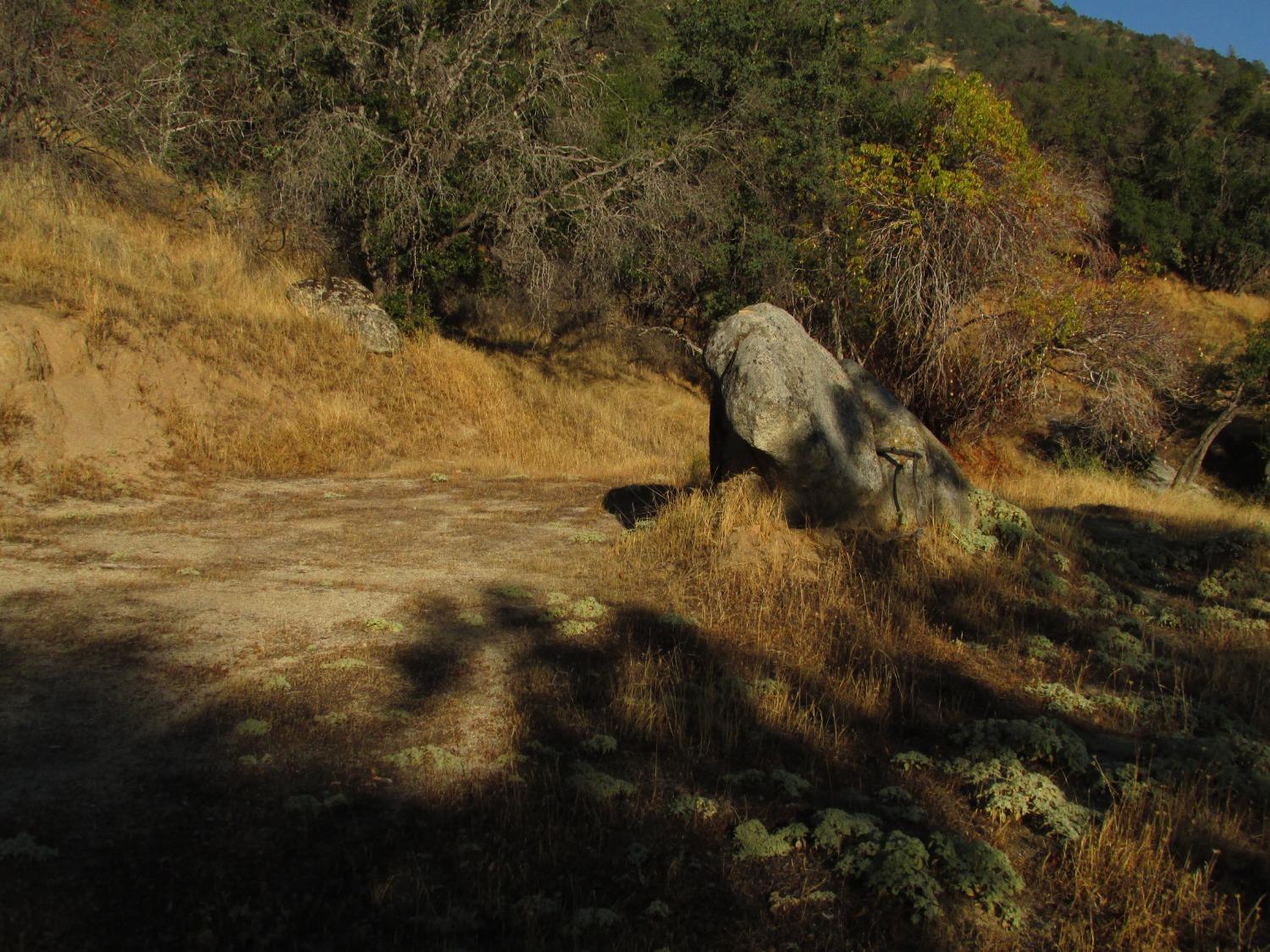 2 Ac Old Oaks Ct, North Fork, CA 93643