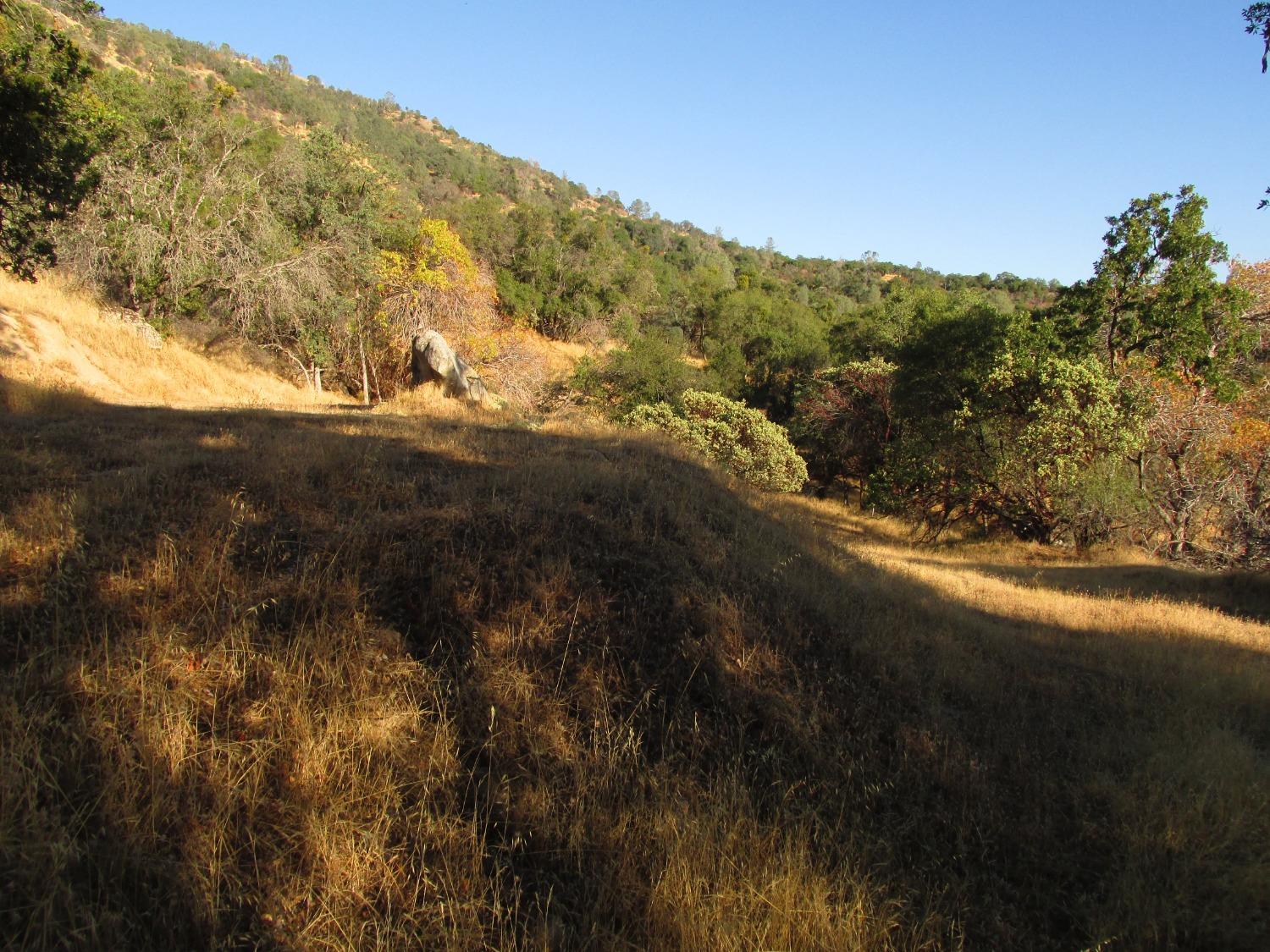 2 Ac Old Oaks Ct, North Fork, CA 93643