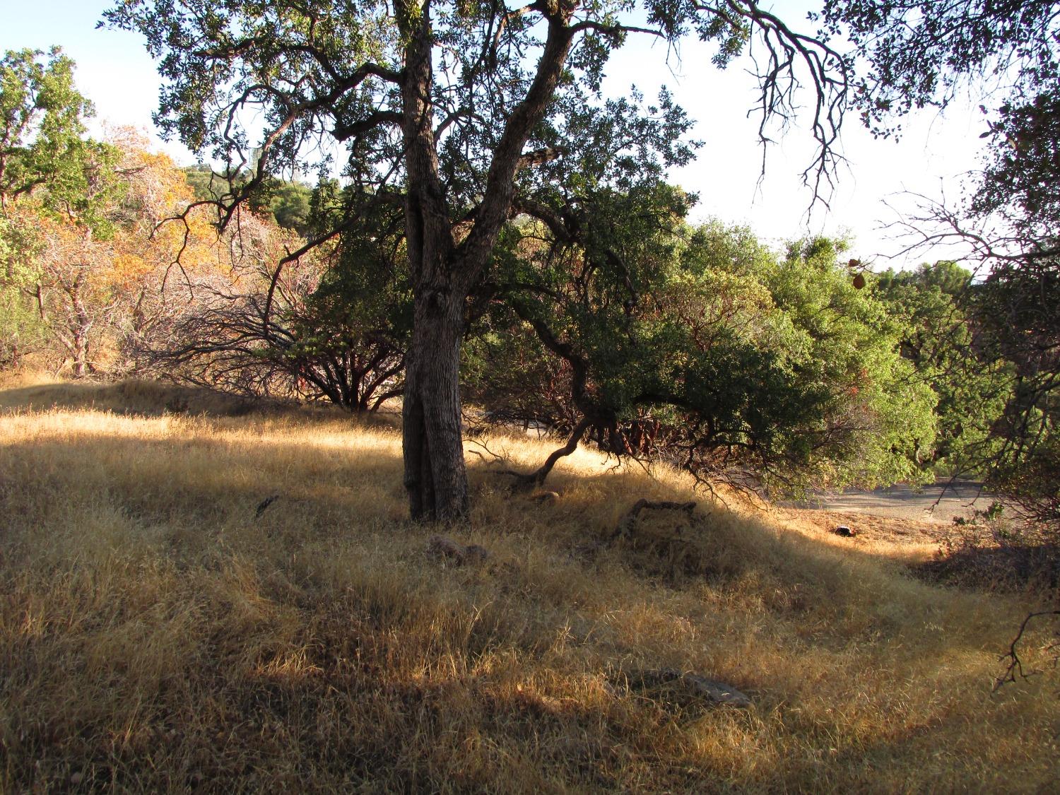 2 Ac Old Oaks Ct, North Fork, CA 93643