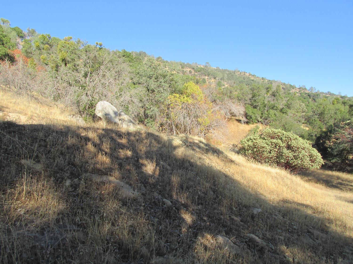 2 Ac Old Oaks Ct, North Fork, CA 93643
