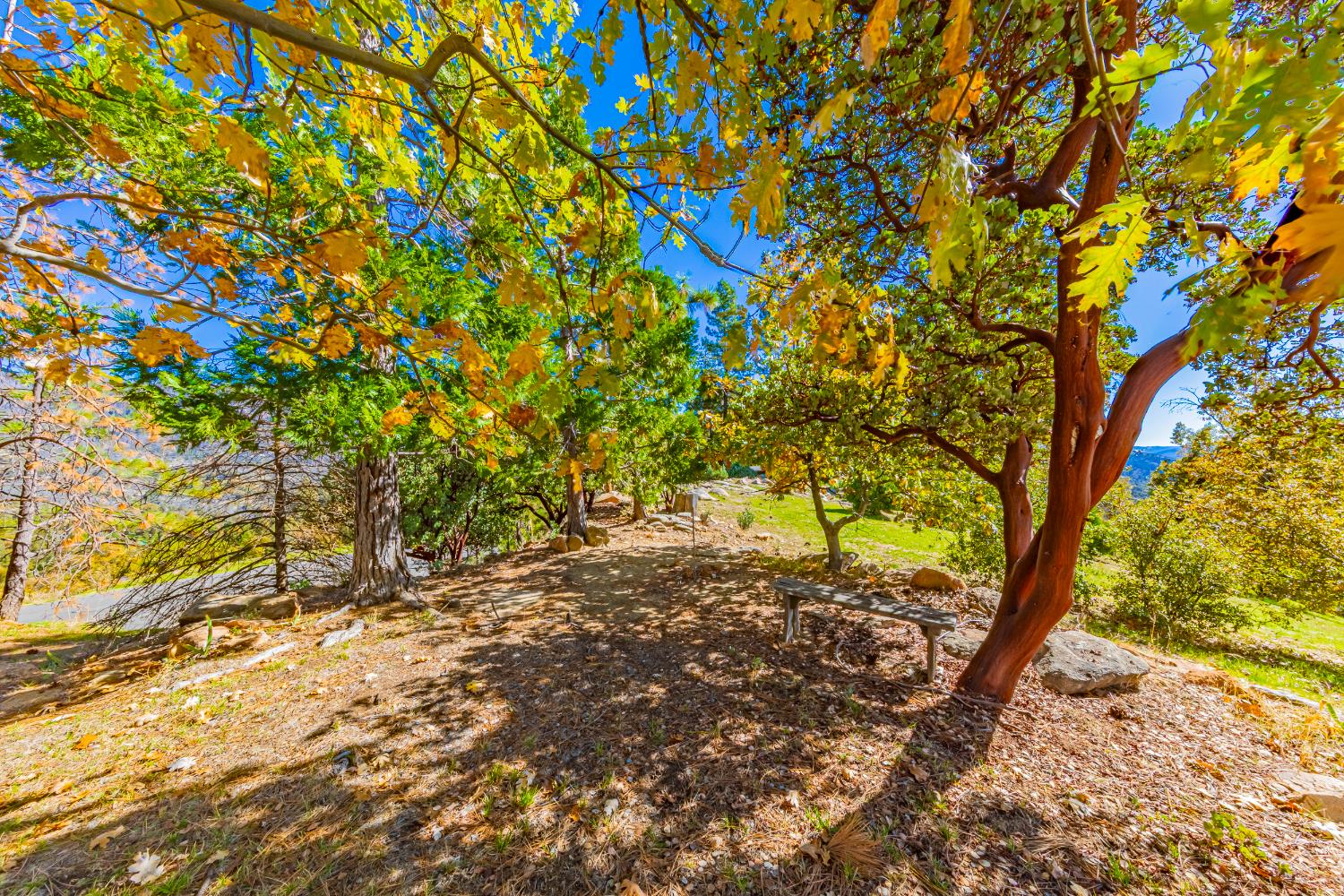 33177 Cascadel Heights Dr, North Fork, CA 93643