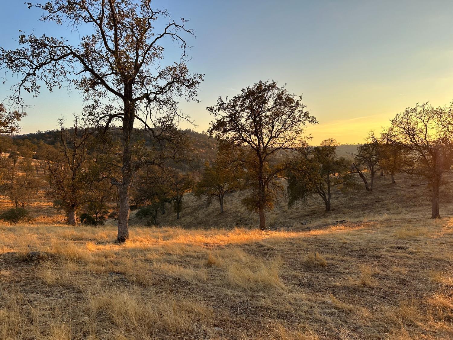 0 0 207 Rd, Coarsegold, CA 93614