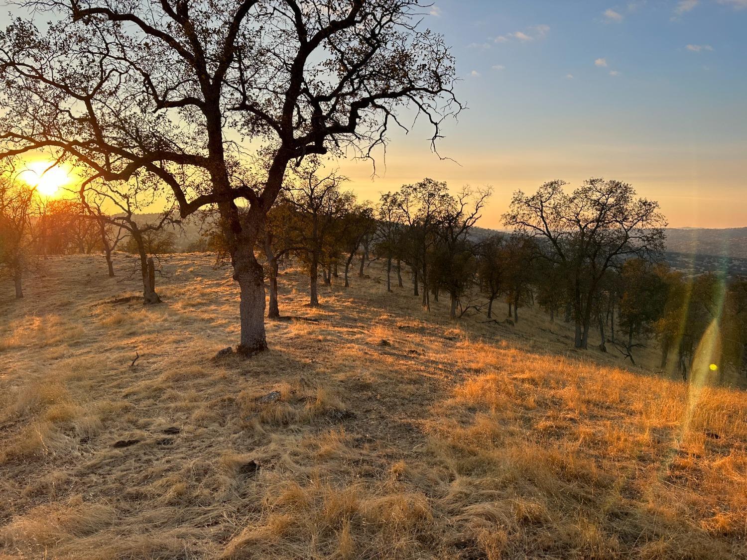 0 0 207 Rd, Coarsegold, CA 93614