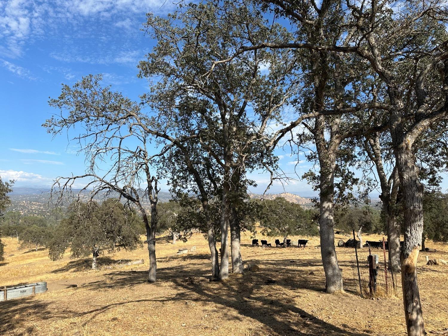 0 0 207 Rd, Coarsegold, CA 93614