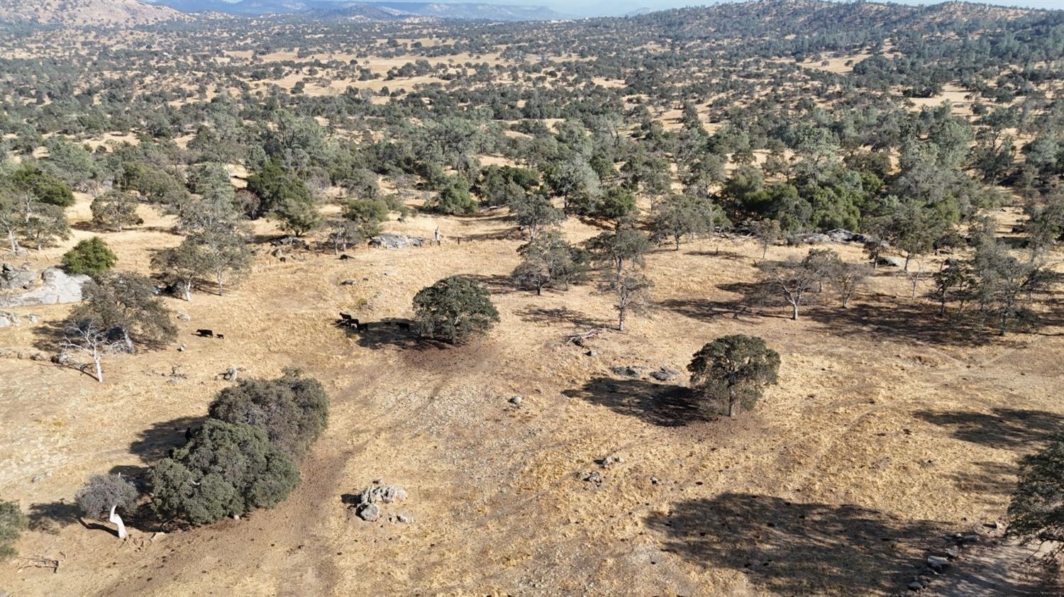 0 0 207 Rd, Coarsegold, CA 93614