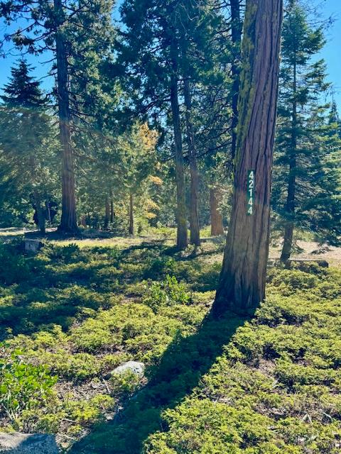 42144 Tourmaline Ln, Shaver Lake, CA 93664