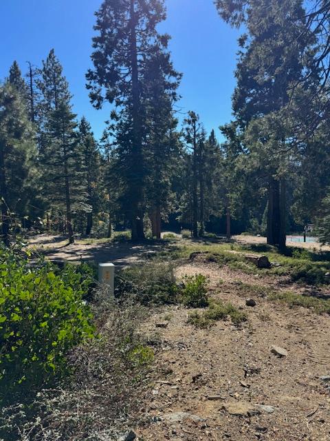 42144 Tourmaline Ln, Shaver Lake, CA 93664