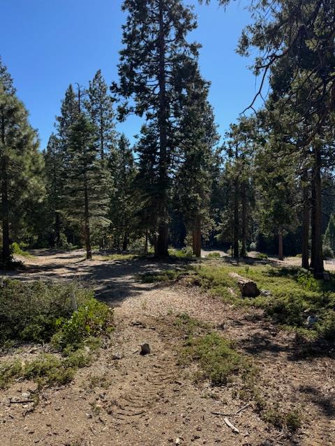 42144 Tourmaline Ln, Shaver Lake, CA 93664