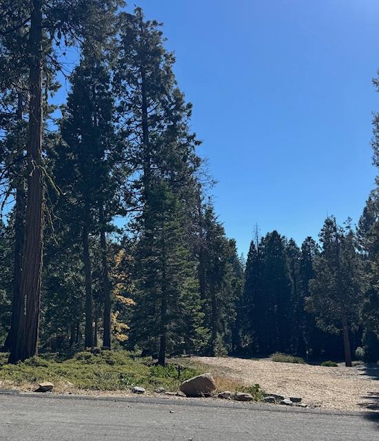 42144 Tourmaline Ln, Shaver Lake, CA 93664