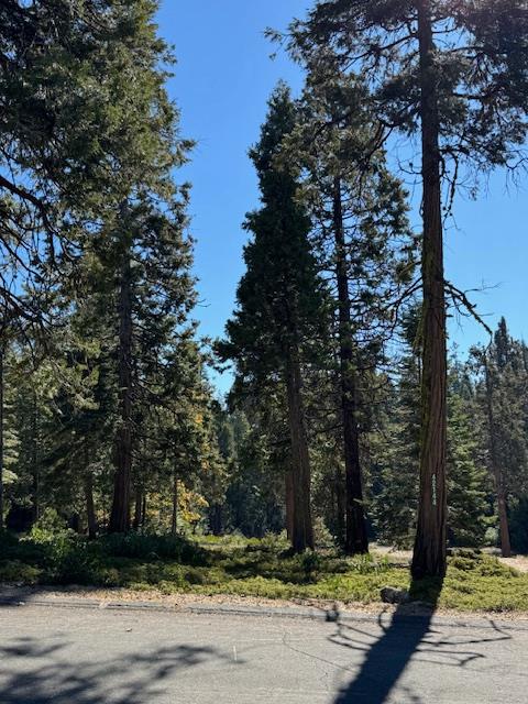 42144 Tourmaline Ln, Shaver Lake, CA 93664