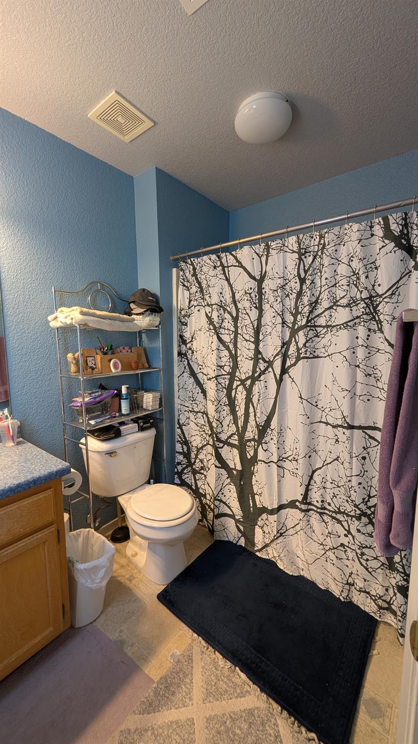 1650 Jaden Ct, Madera, CA 93638