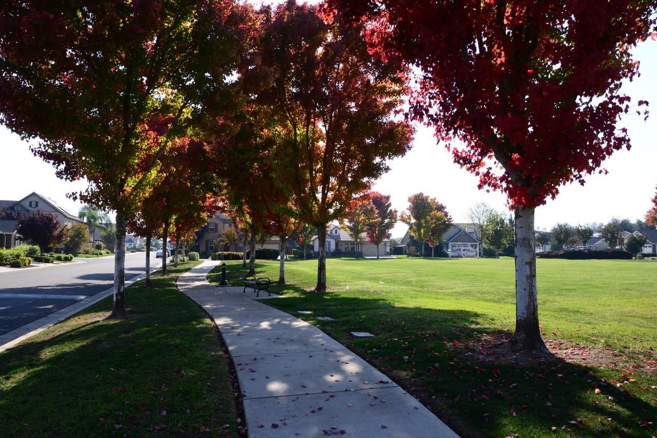 1797 Clearwater St, Tulare, CA 93274