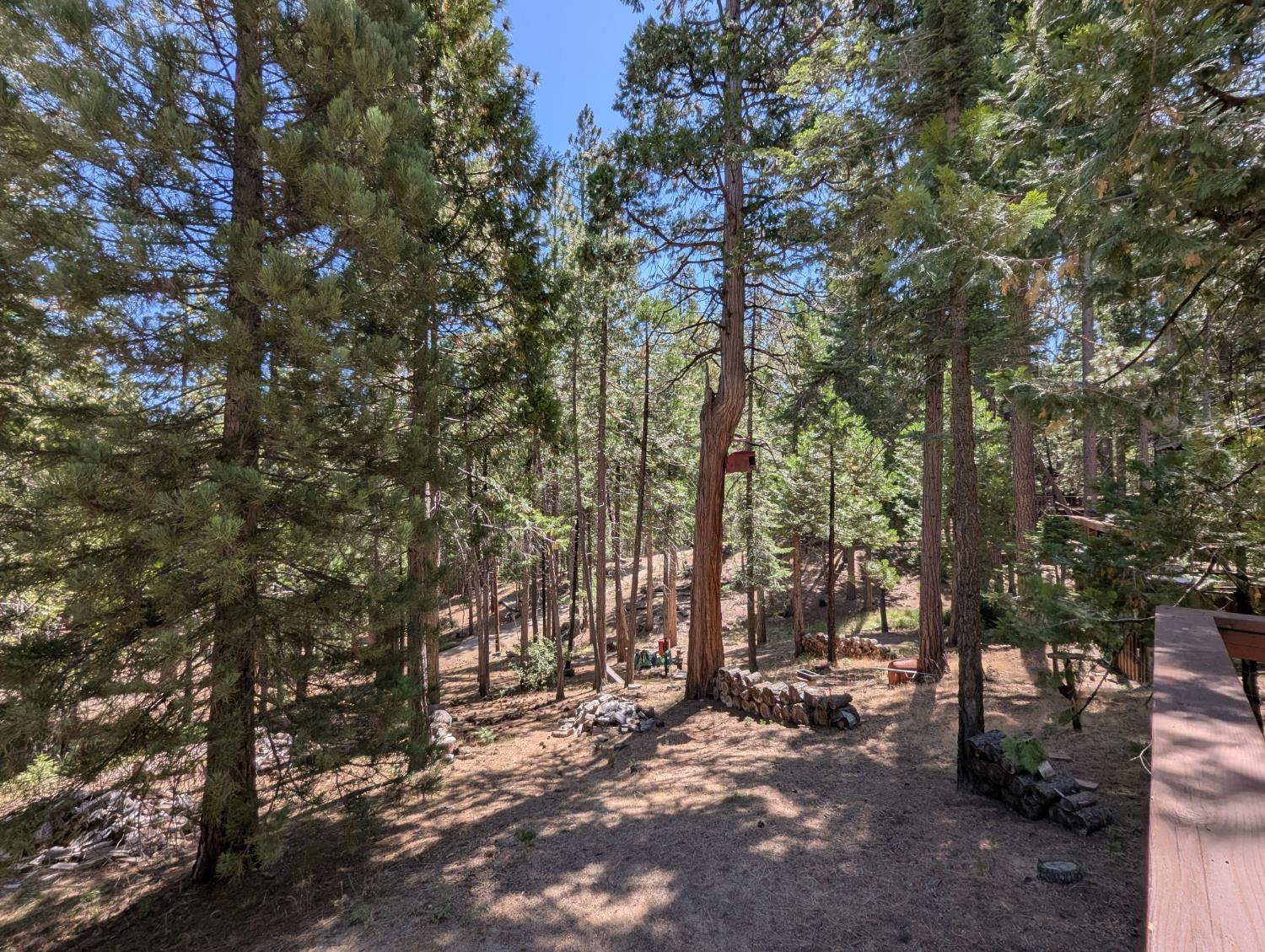 65066 Stellar Jay Ln, Unincorporated, CA 93628