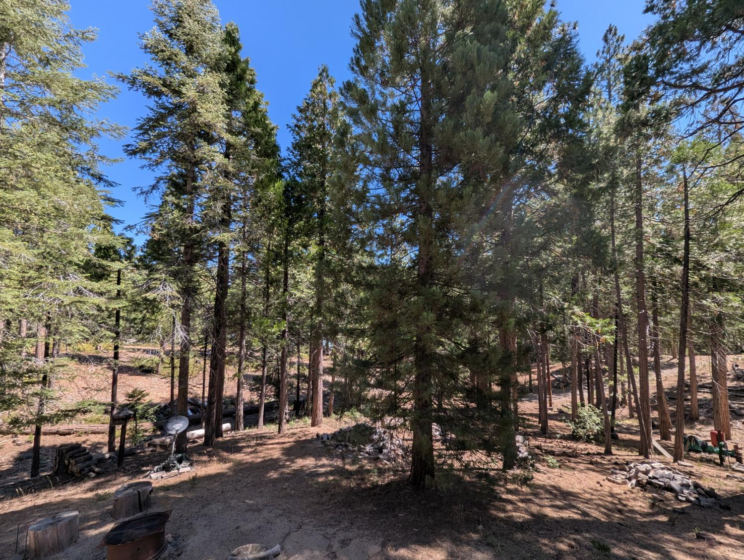 65066 Stellar Jay Ln, Unincorporated, CA 93628