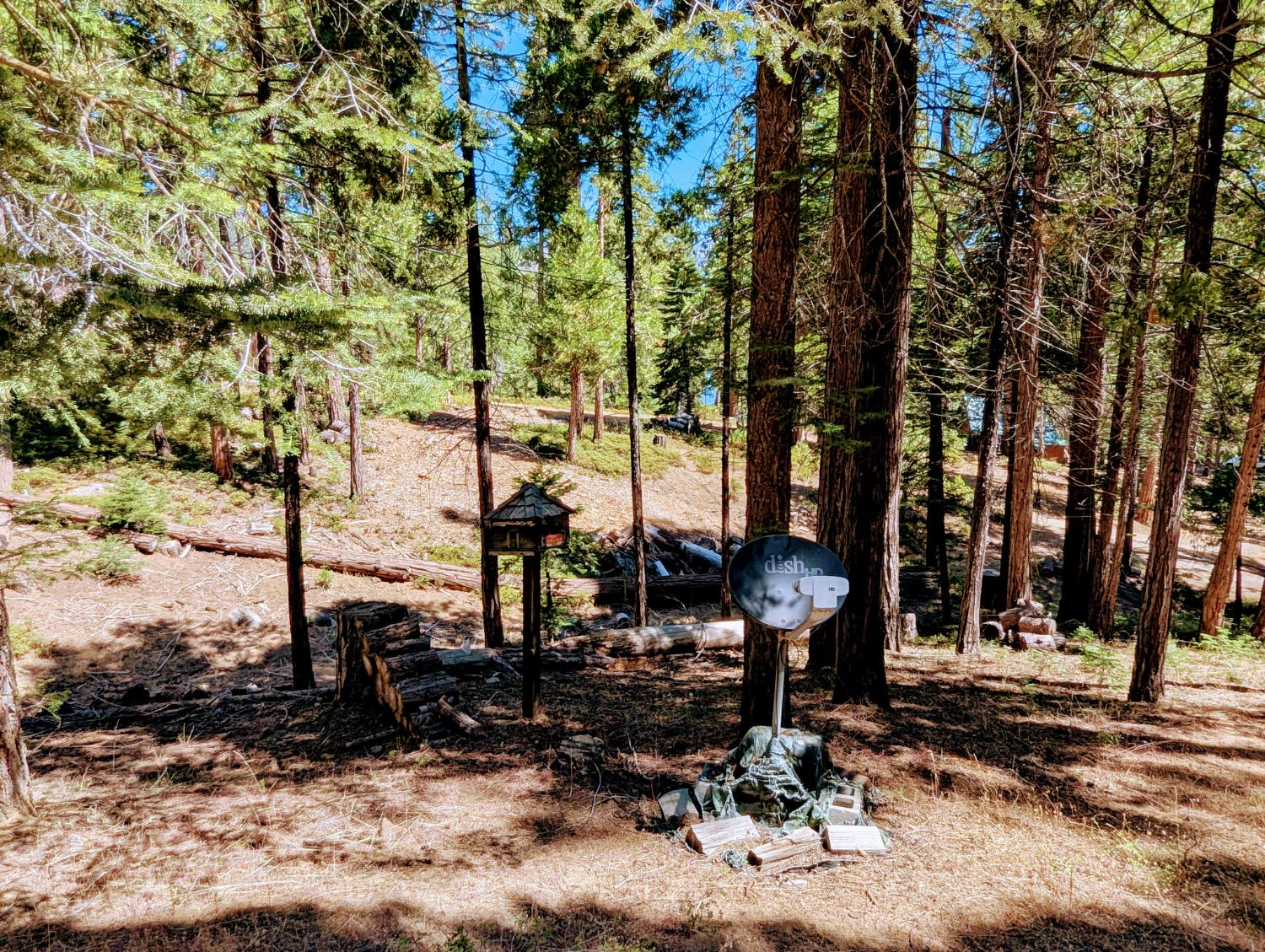 65066 Stellar Jay Ln, Unincorporated, CA 93628