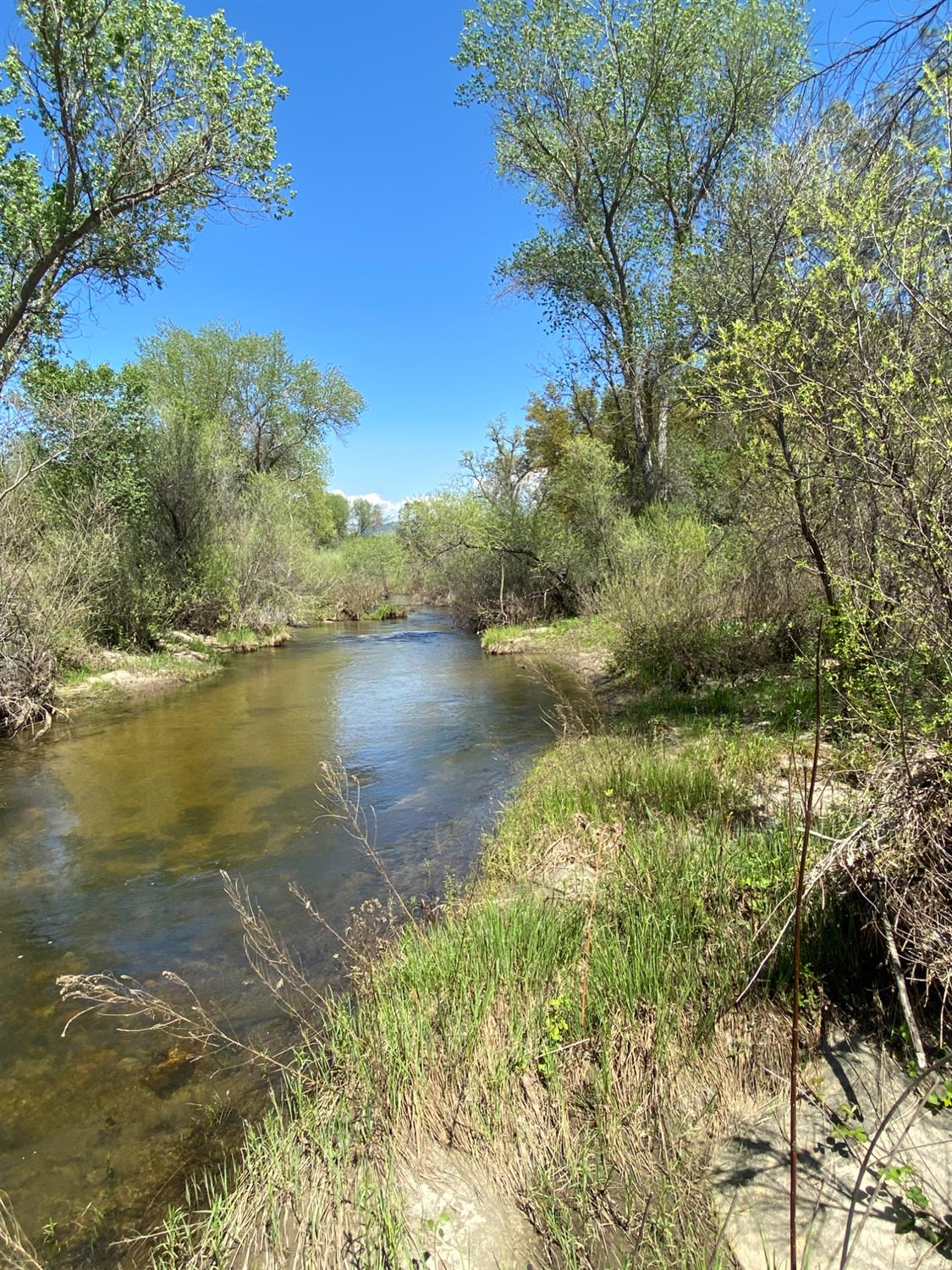 31560 Road 400, Coarsegold, CA 93614