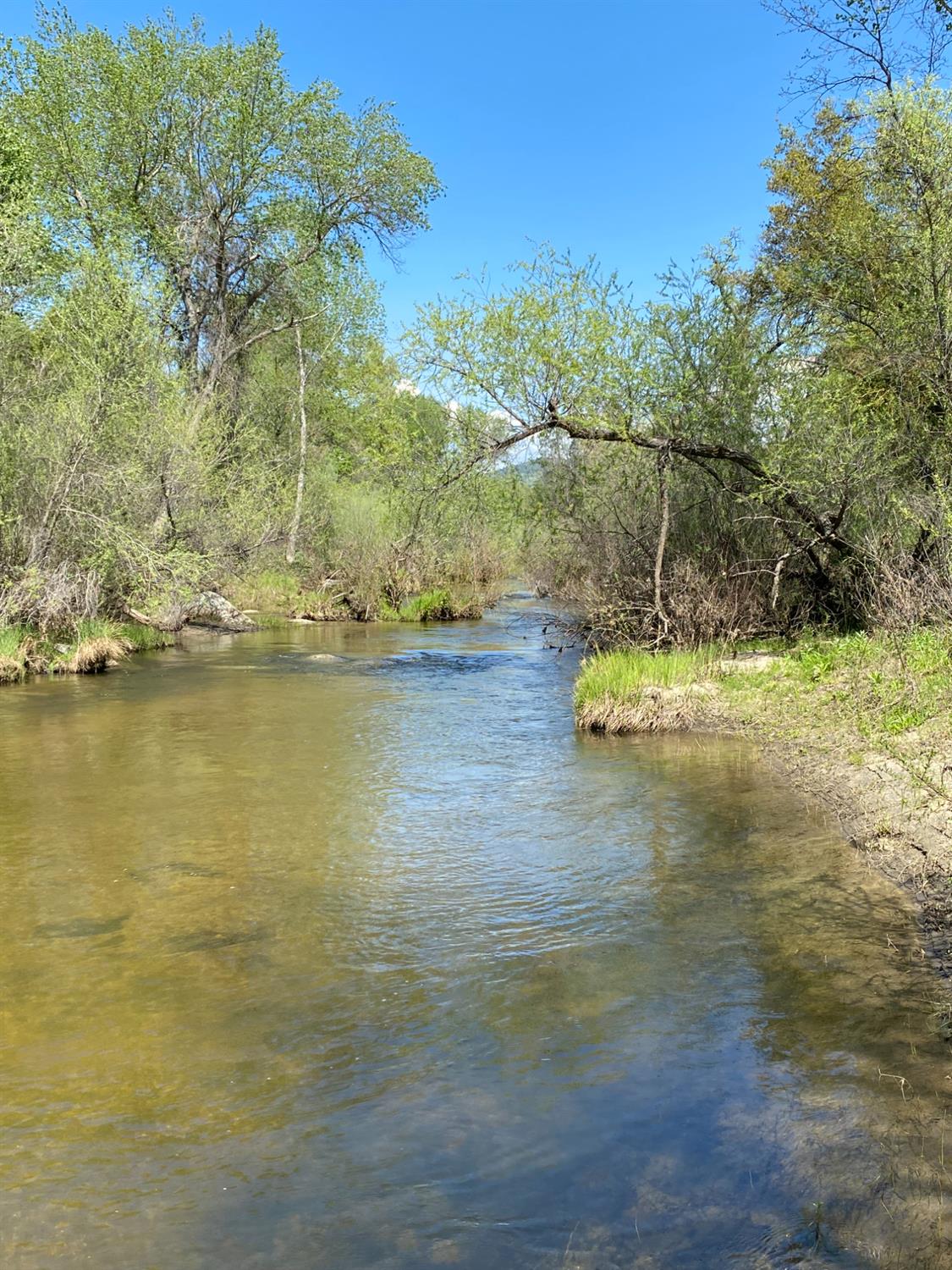 31560 Road 400, Coarsegold, CA 93614