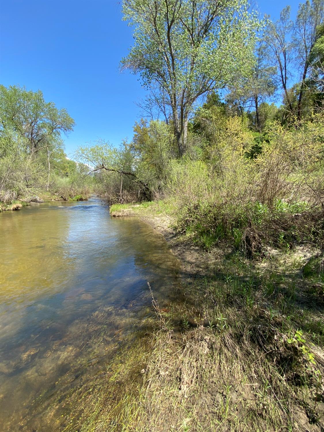 31560 Road 400, Coarsegold, CA 93614