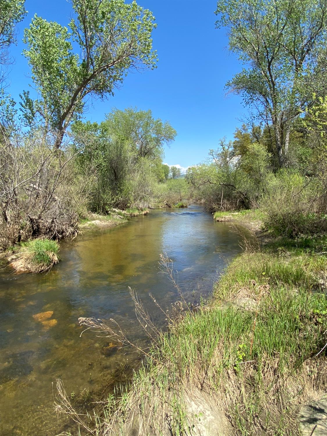 31560 Road 400, Coarsegold, CA 93614