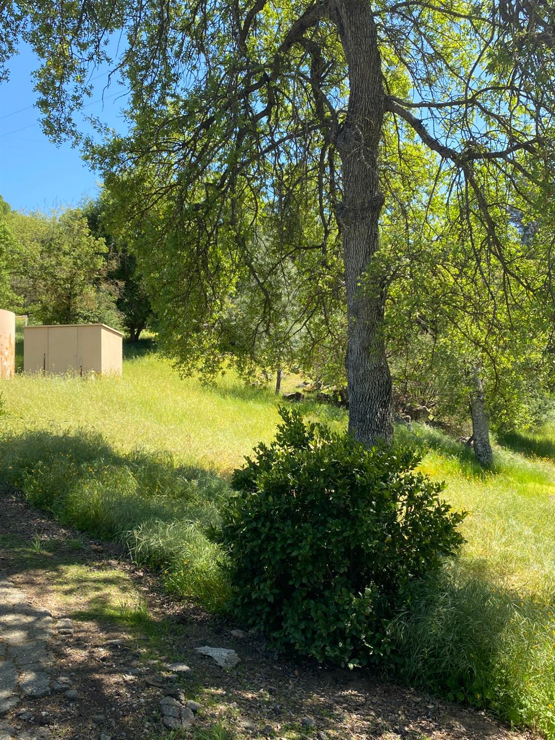 31560 Road 400, Coarsegold, CA 93614