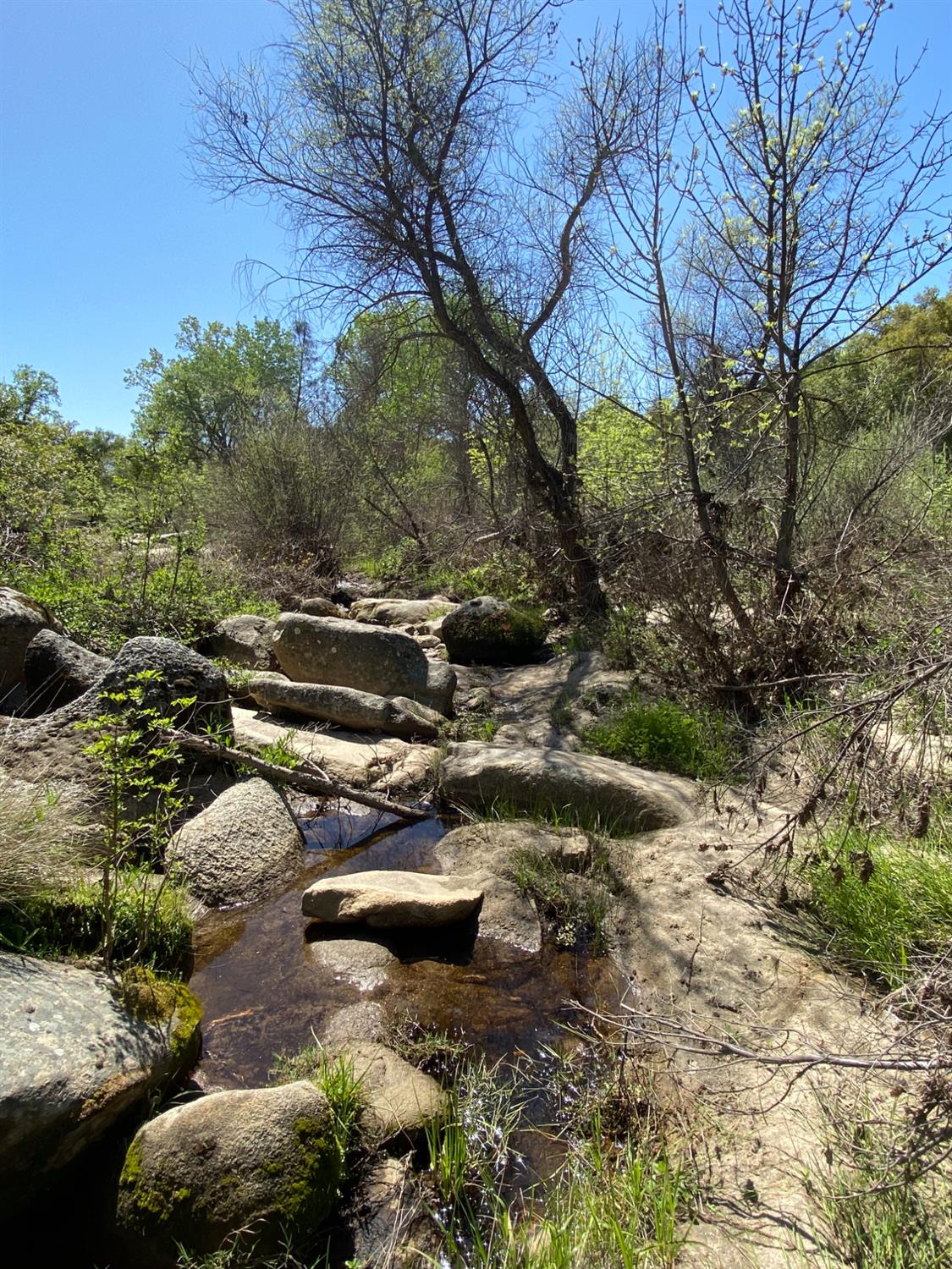 31560 Road 400, Coarsegold, CA 93614