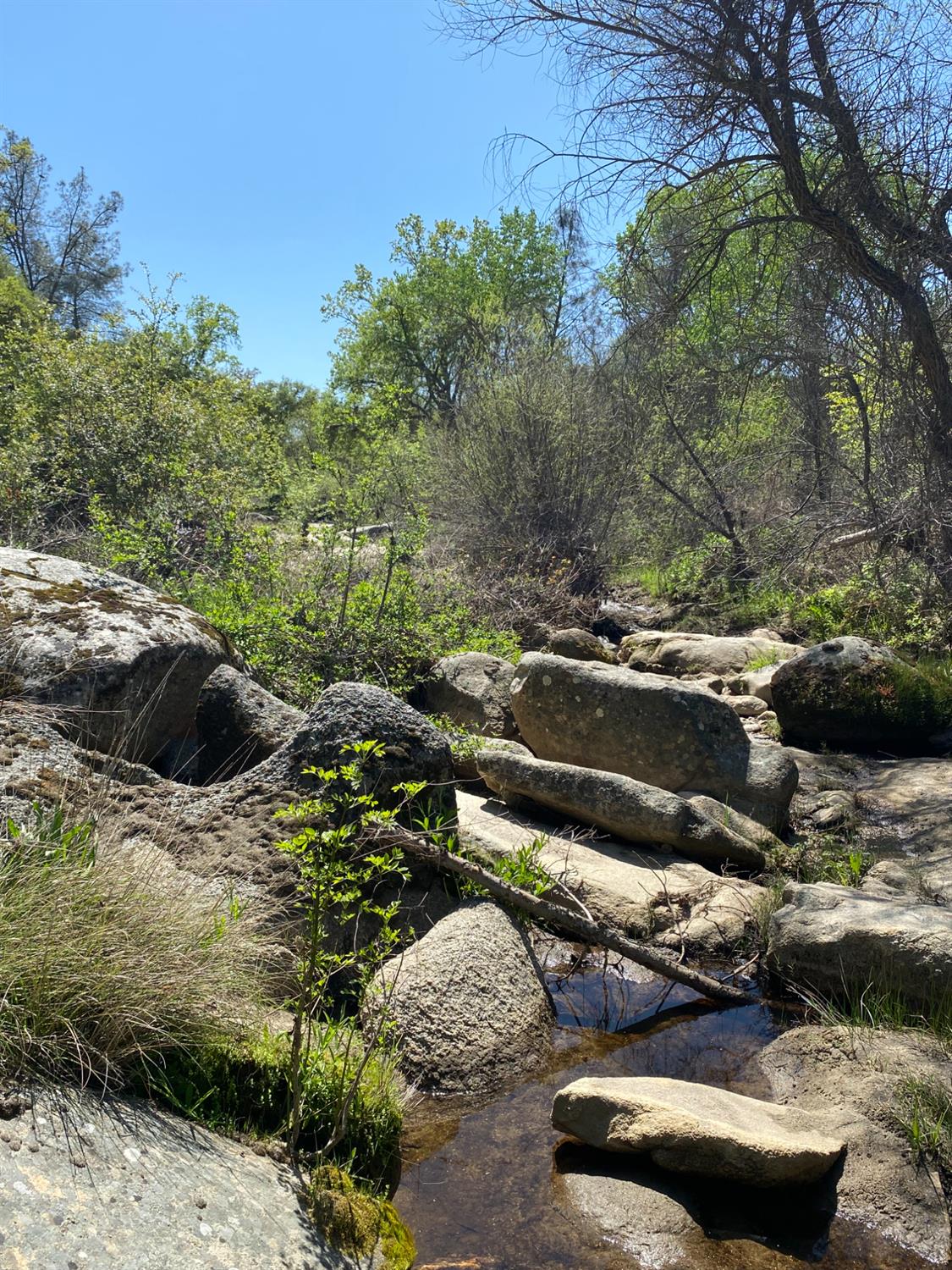 31560 Road 400, Coarsegold, CA 93614