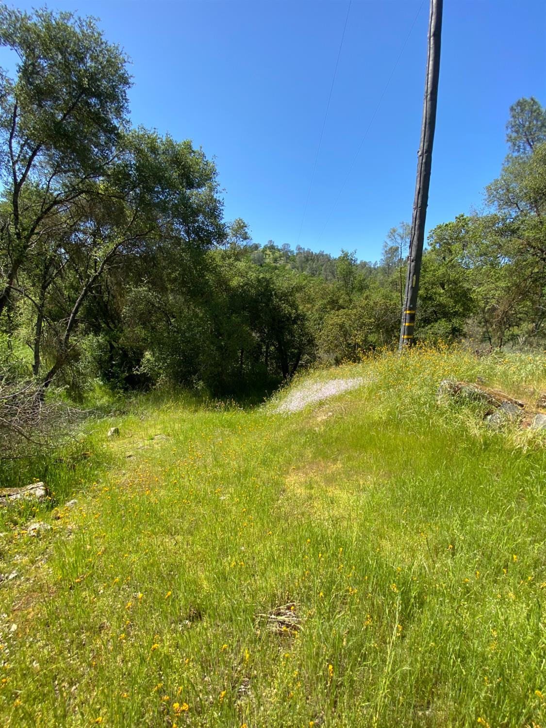 31560 Road 400, Coarsegold, CA 93614