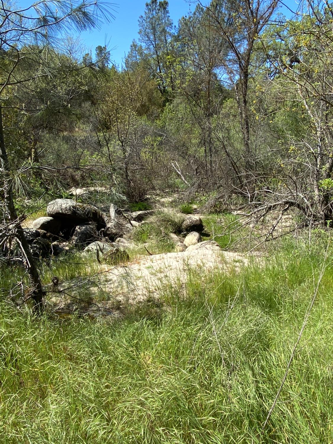 31560 Road 400, Coarsegold, CA 93614