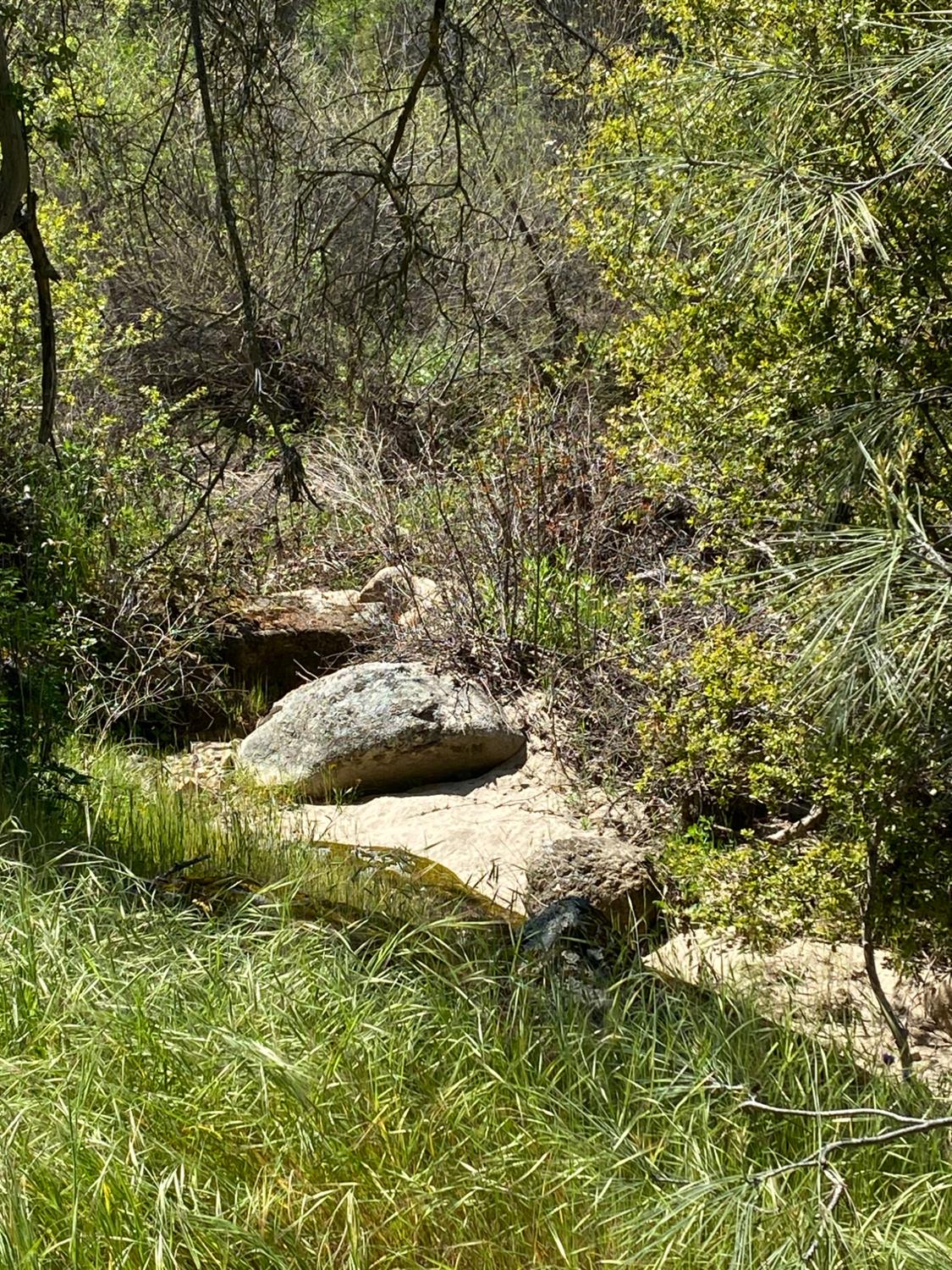 31560 Road 400, Coarsegold, CA 93614