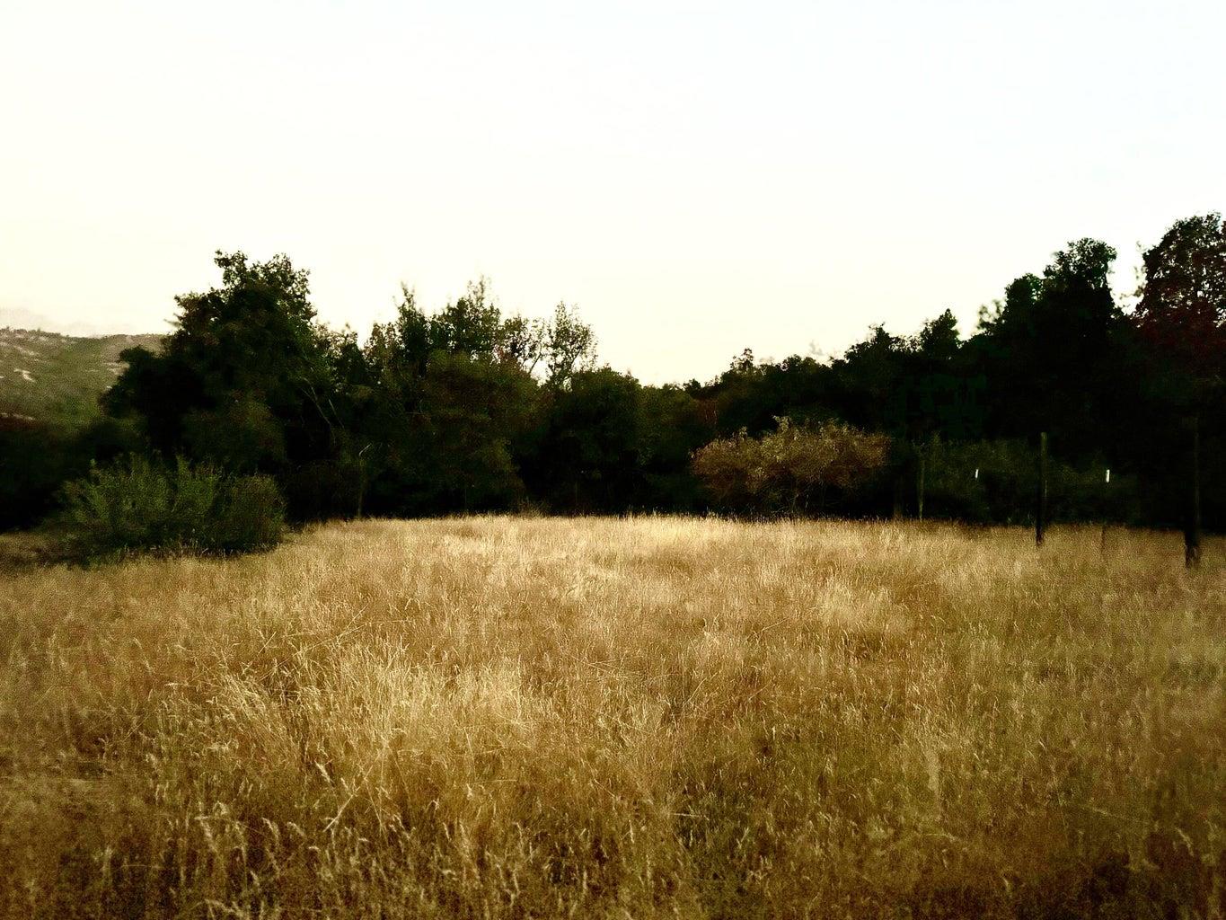 369 hogback, Miramonte, CA 93641