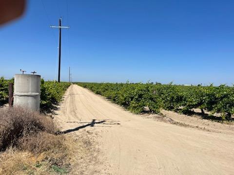 0 0 W Elkhorn, Caruthers, CA 93609