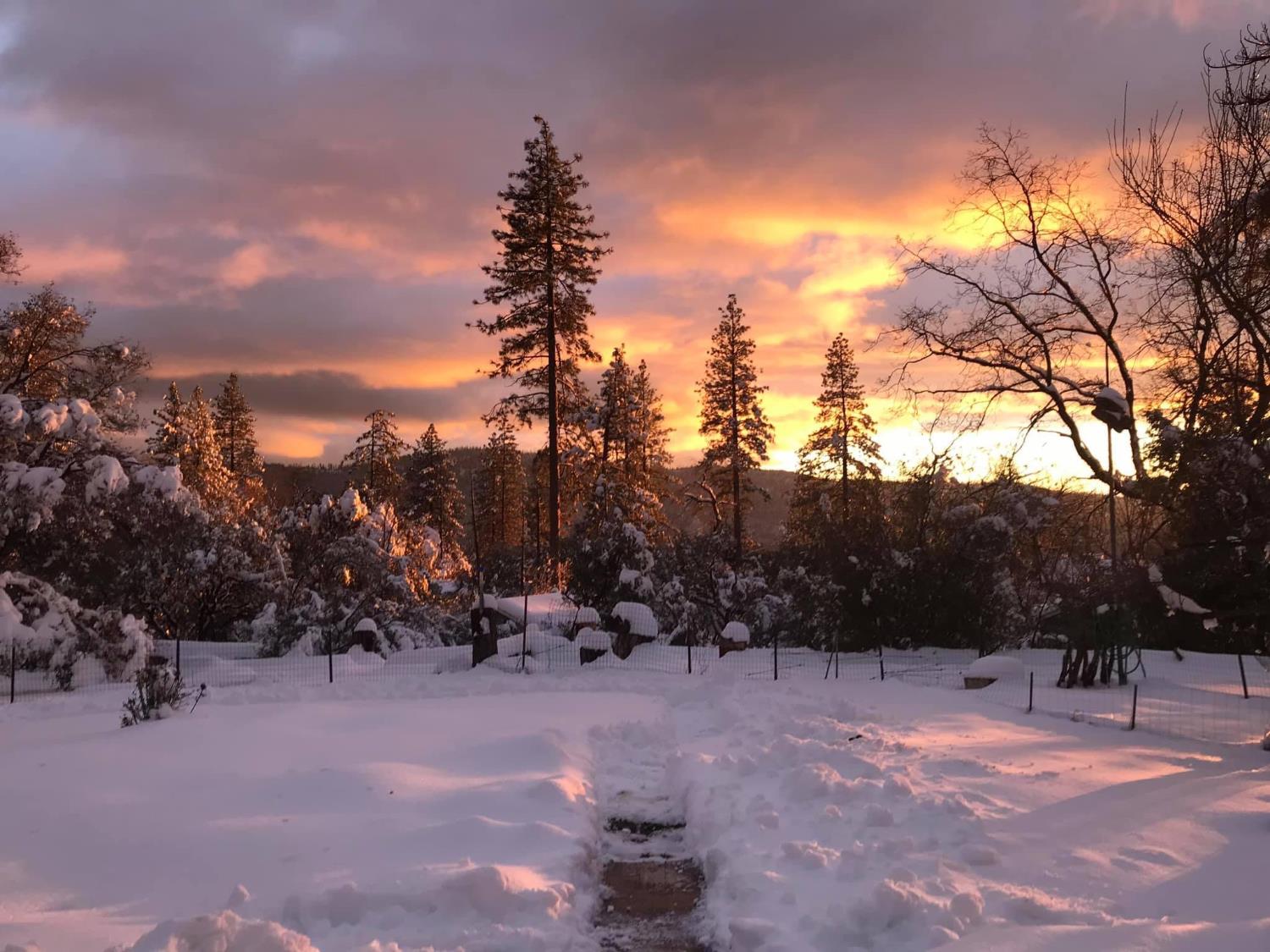 39468 Summit Dr, Oakhurst, CA 93644