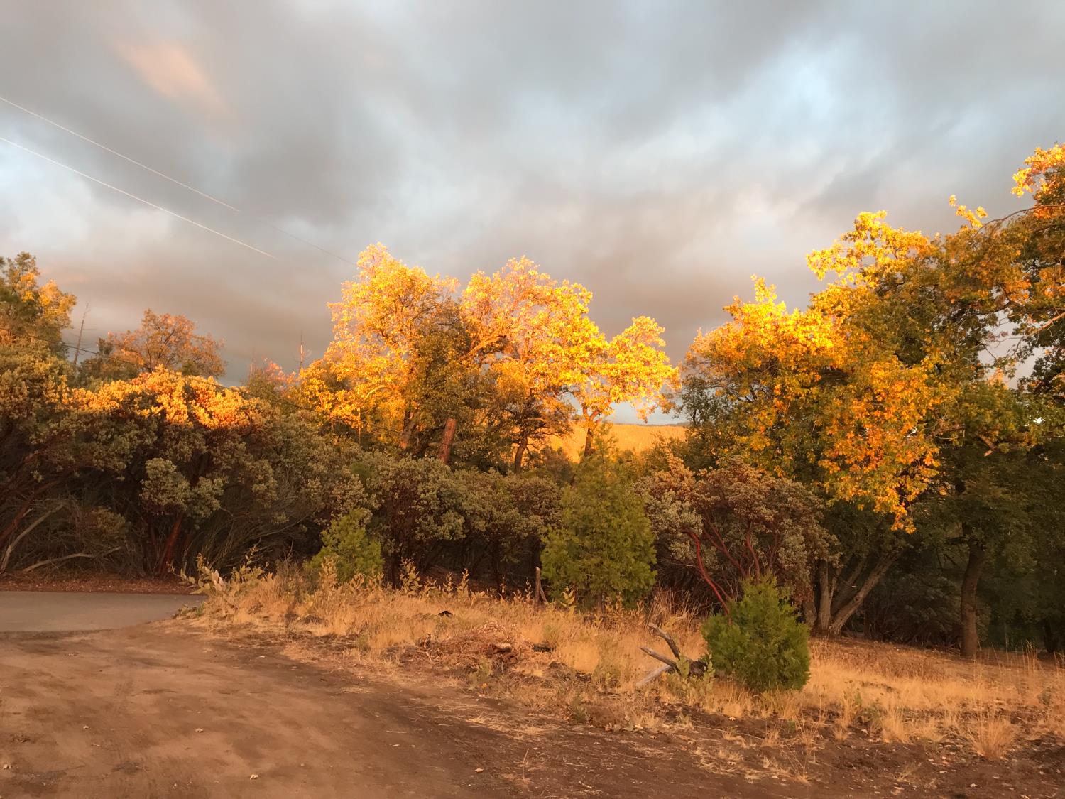 39468 Summit Dr, Oakhurst, CA 93644