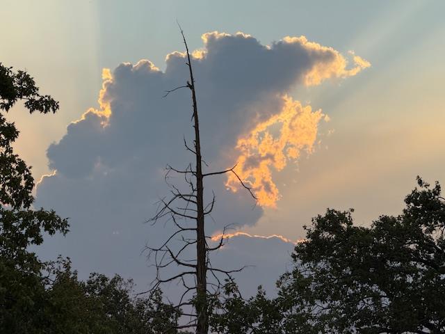 39468 Summit Dr, Oakhurst, CA 93644