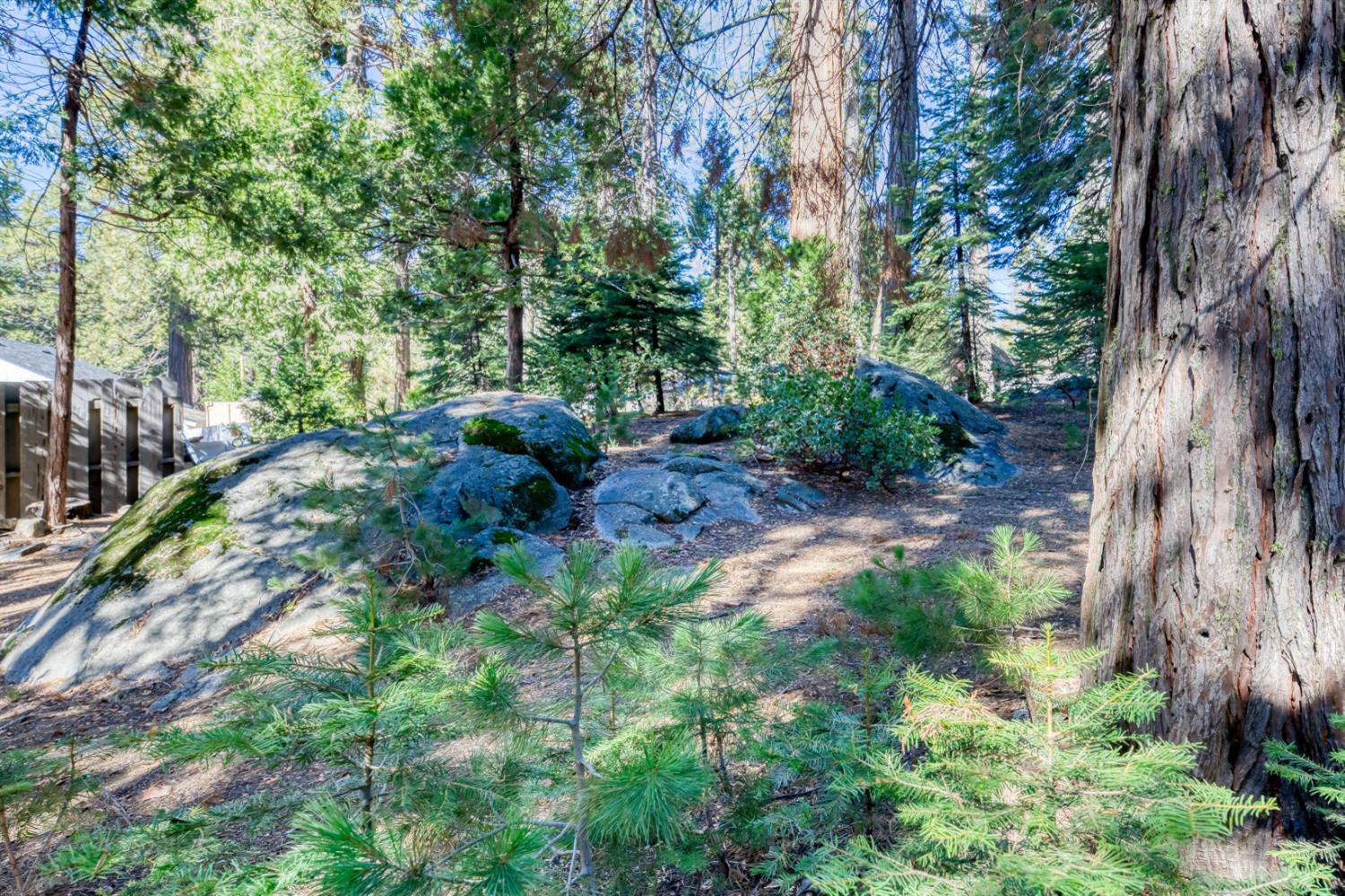 41593 Tollhouse Rd, Shaver Lake, CA 93664