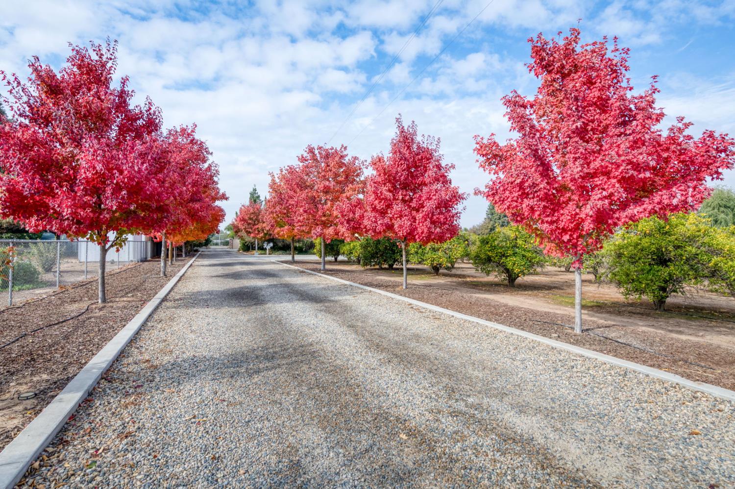 1565 S Indianola Ave, Sanger, CA 93657