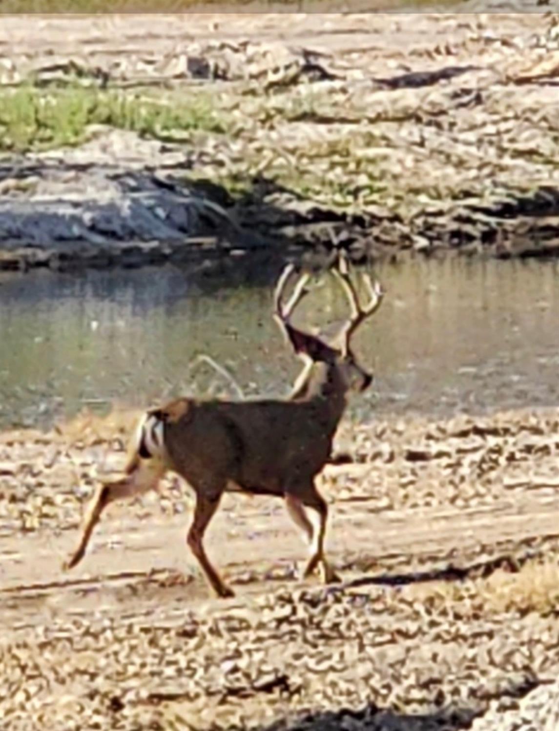 10705 N Lanes Rd, Fresno, CA 93730