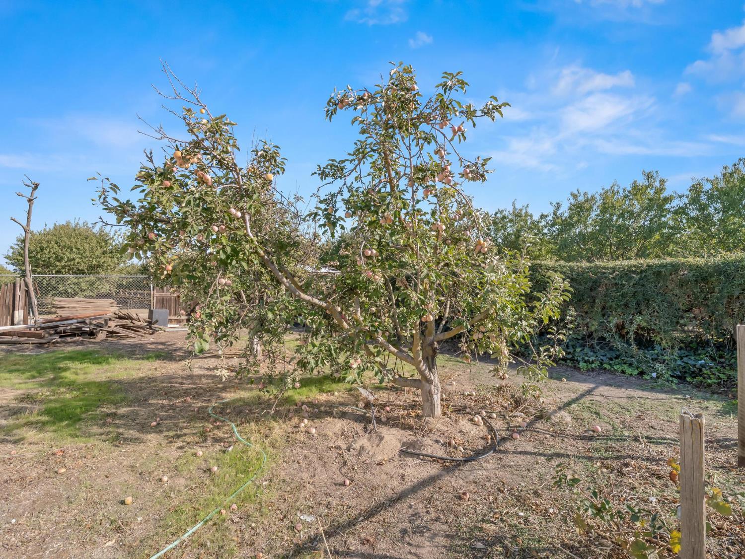 5454 N Floyd Ave, Fresno, CA 93723