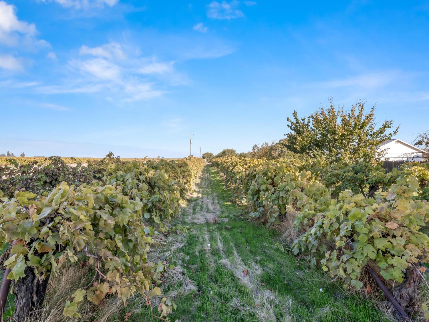 5454 N Floyd Ave, Fresno, CA 93723