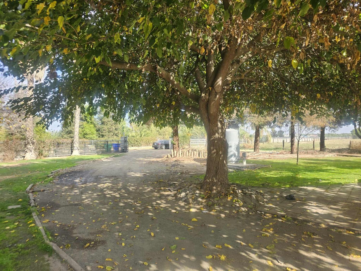 14398 Avenue 88, Pixley, CA 93256