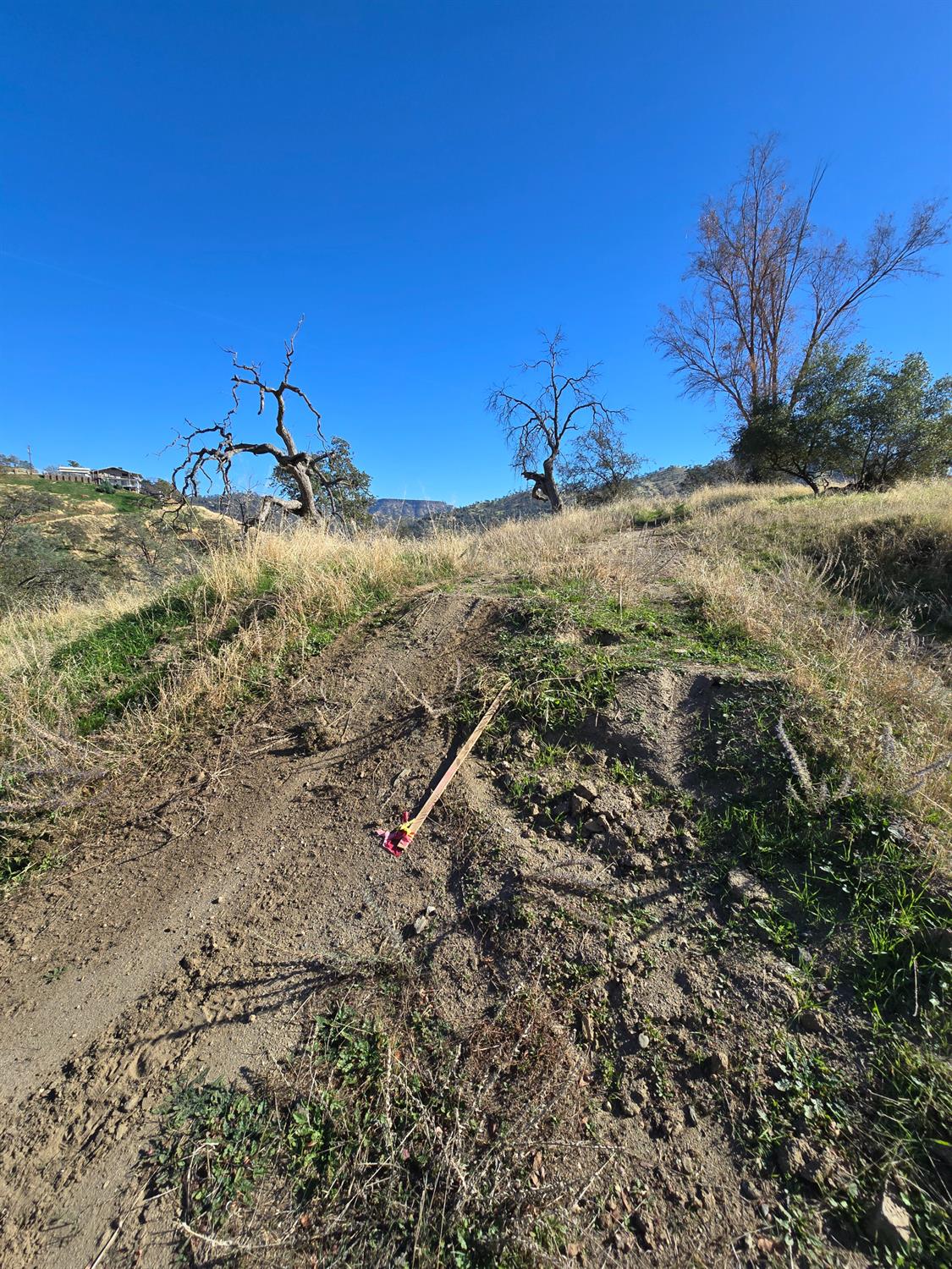 20600 Galileo Ct, Friant, CA 93626