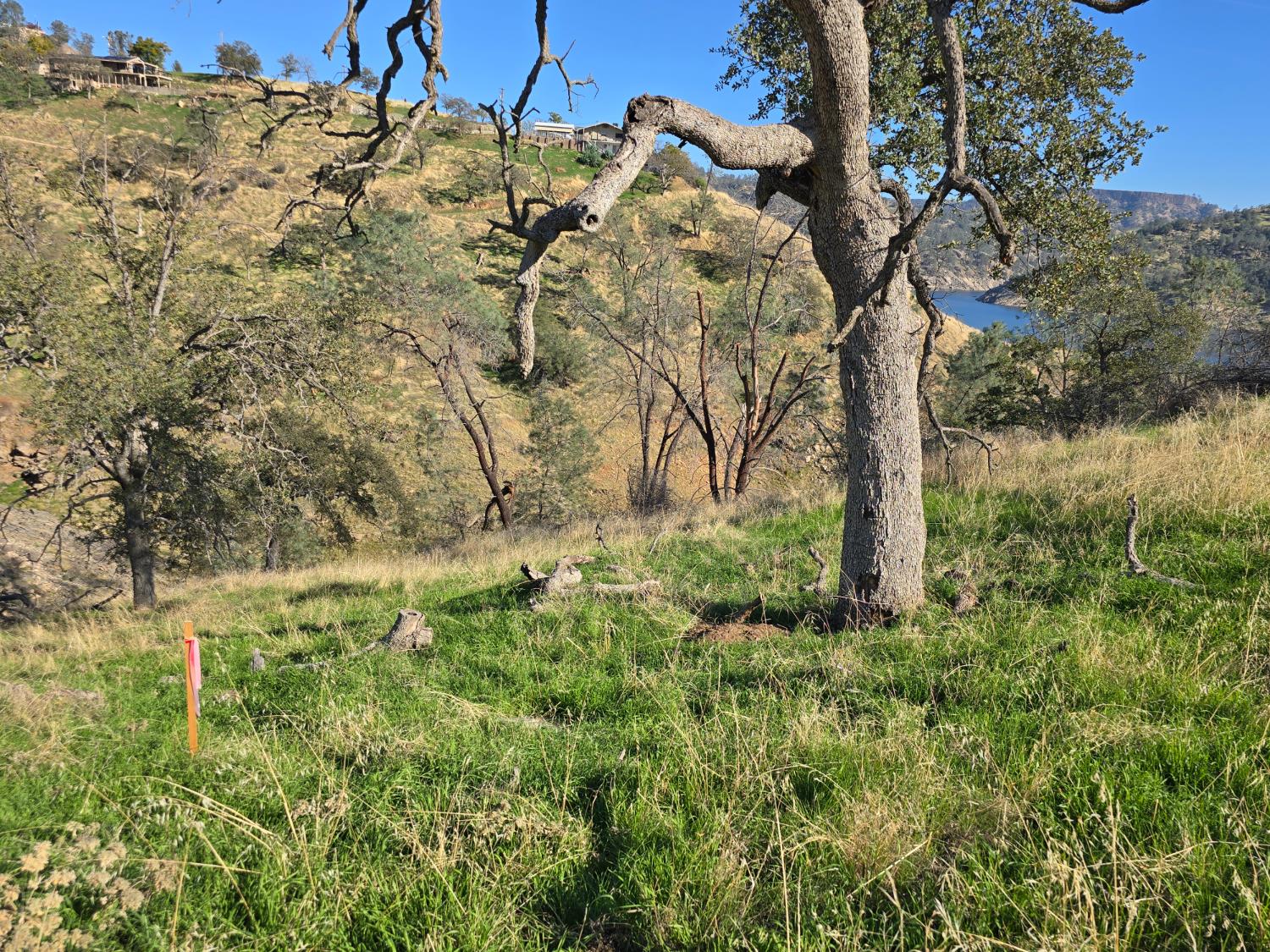 20600 Galileo Ct, Friant, CA 93626