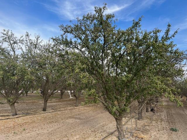 1105 E Rose Ave, Fresno, CA 93725