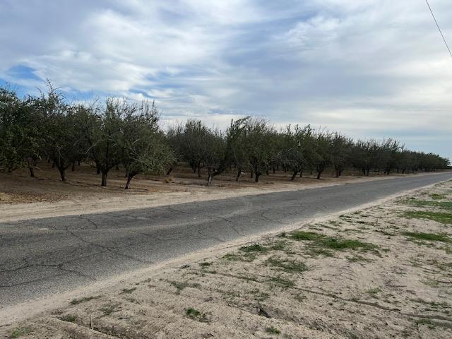 1105 E Rose Ave, Fresno, CA 93725