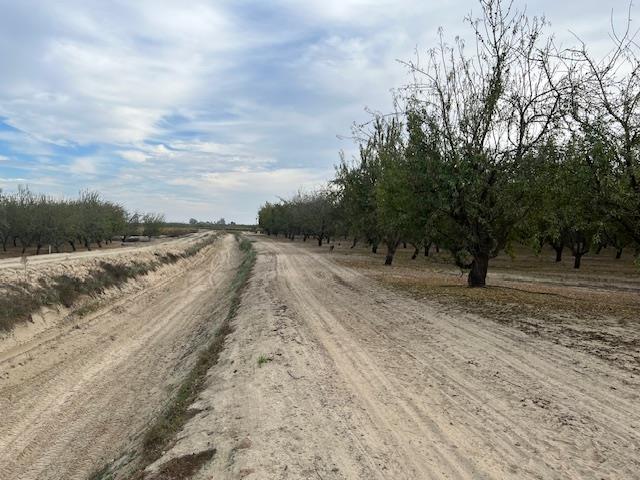 1105 E Rose Ave, Fresno, CA 93725